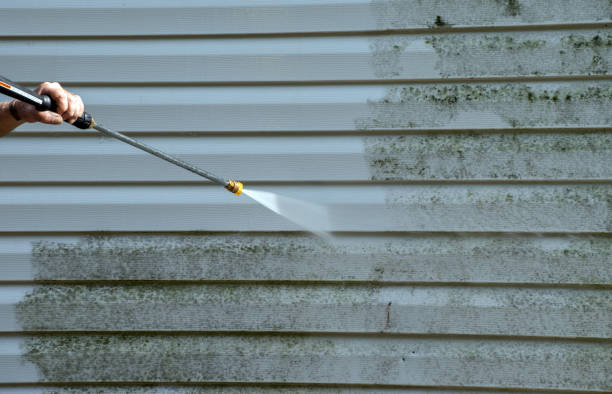 Best Concrete Surface Cleaning in Loudon, TN